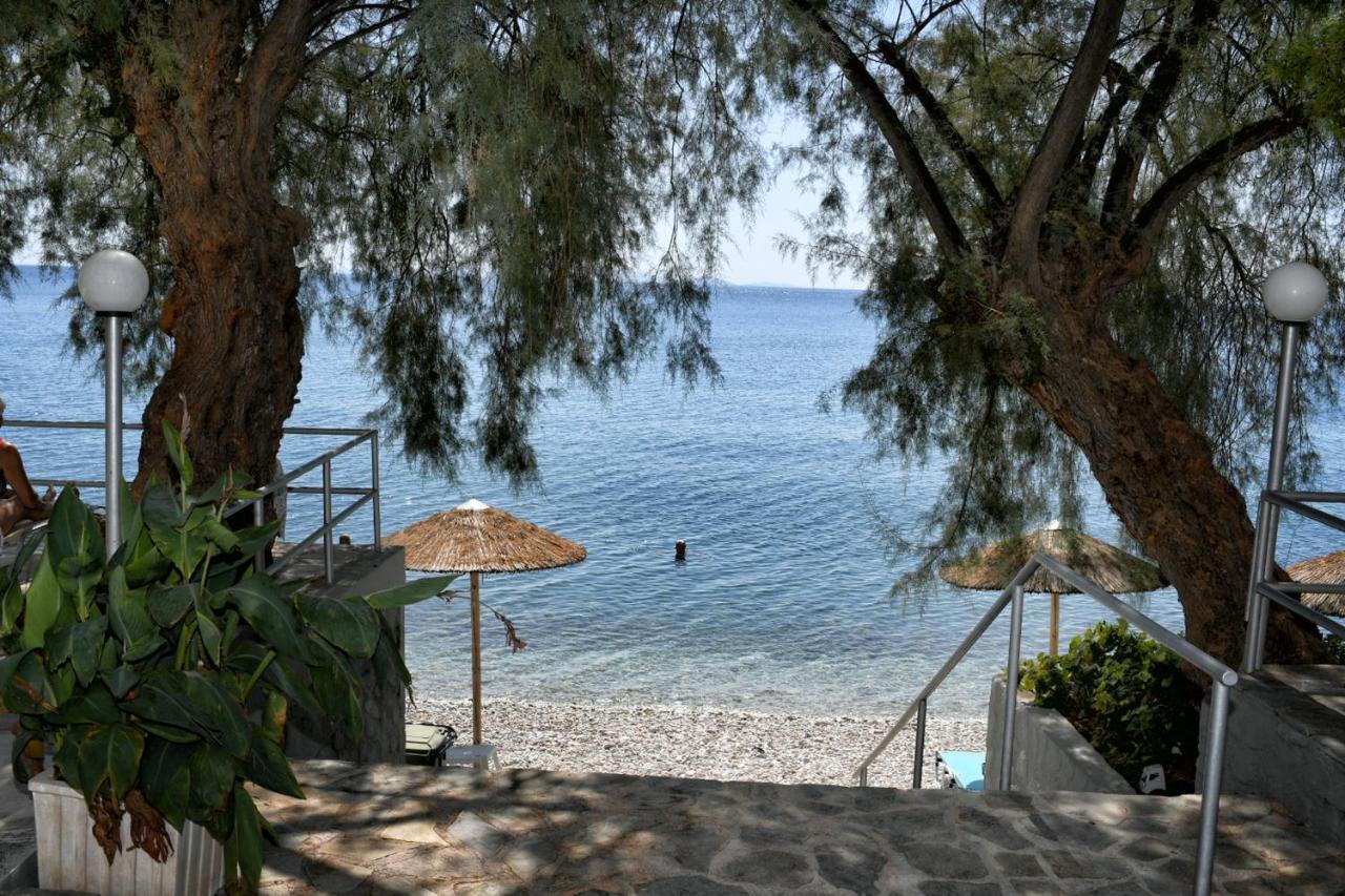 Siagas Beach Hotel Agii Theodori Exterior foto