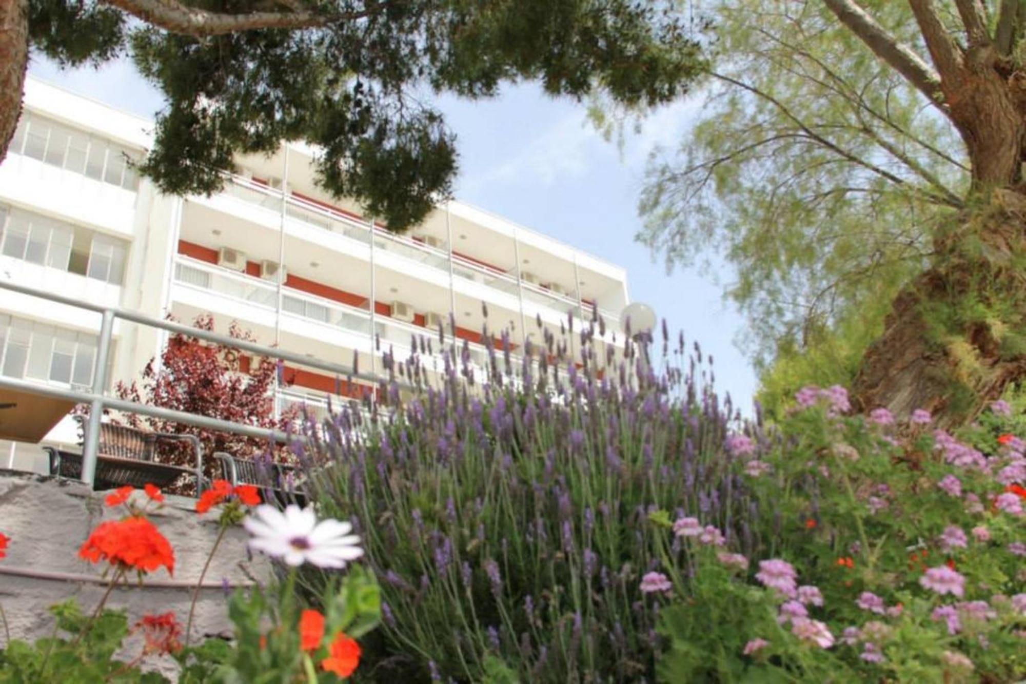 Siagas Beach Hotel Agii Theodori Exterior foto