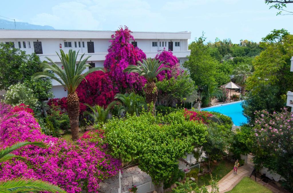 Siagas Beach Hotel Agii Theodori Exterior foto