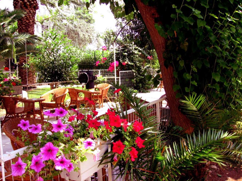 Siagas Beach Hotel Agii Theodori Exterior foto